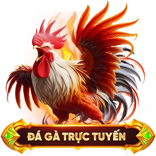 đá gà trực tuyến QQ88